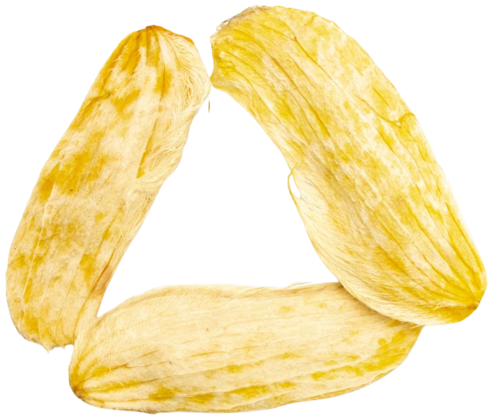 African mango ingredient image